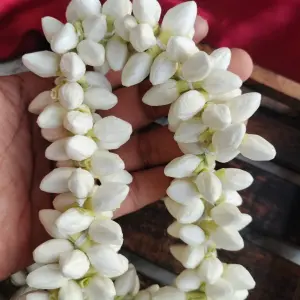 artificial Jasmine