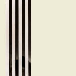 WPC Louvers Panel